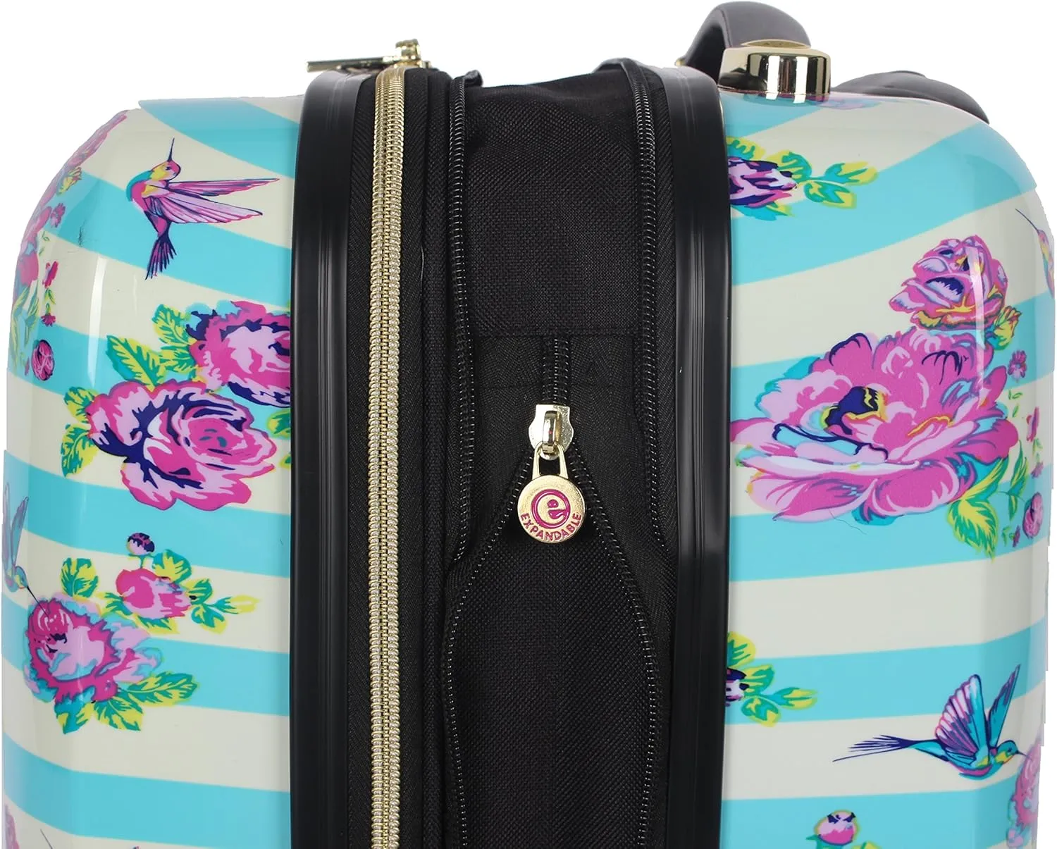 Betsey Johnson Designer 20 Inch Carry On - Expandable (ABS   PC) Hardside Luggage - Lightweight Durable Suitcase With 8-Rolling Spinner Wheels for Women (Stripe Floral Hummingbird)