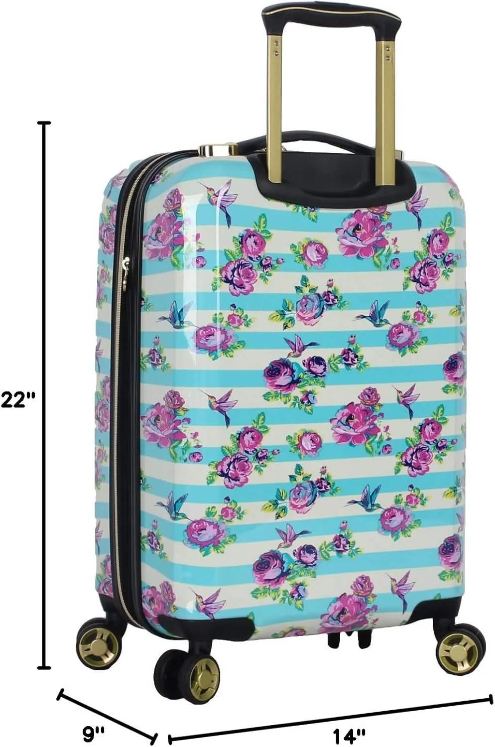 Betsey Johnson Designer 20 Inch Carry On - Expandable (ABS   PC) Hardside Luggage - Lightweight Durable Suitcase With 8-Rolling Spinner Wheels for Women (Stripe Floral Hummingbird)