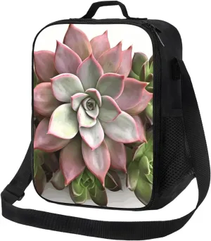 Insulated Lunch box for Men Women Reusable Lunch Bag Succulent Botanical Cooler Tote Bags for Work Picnic
