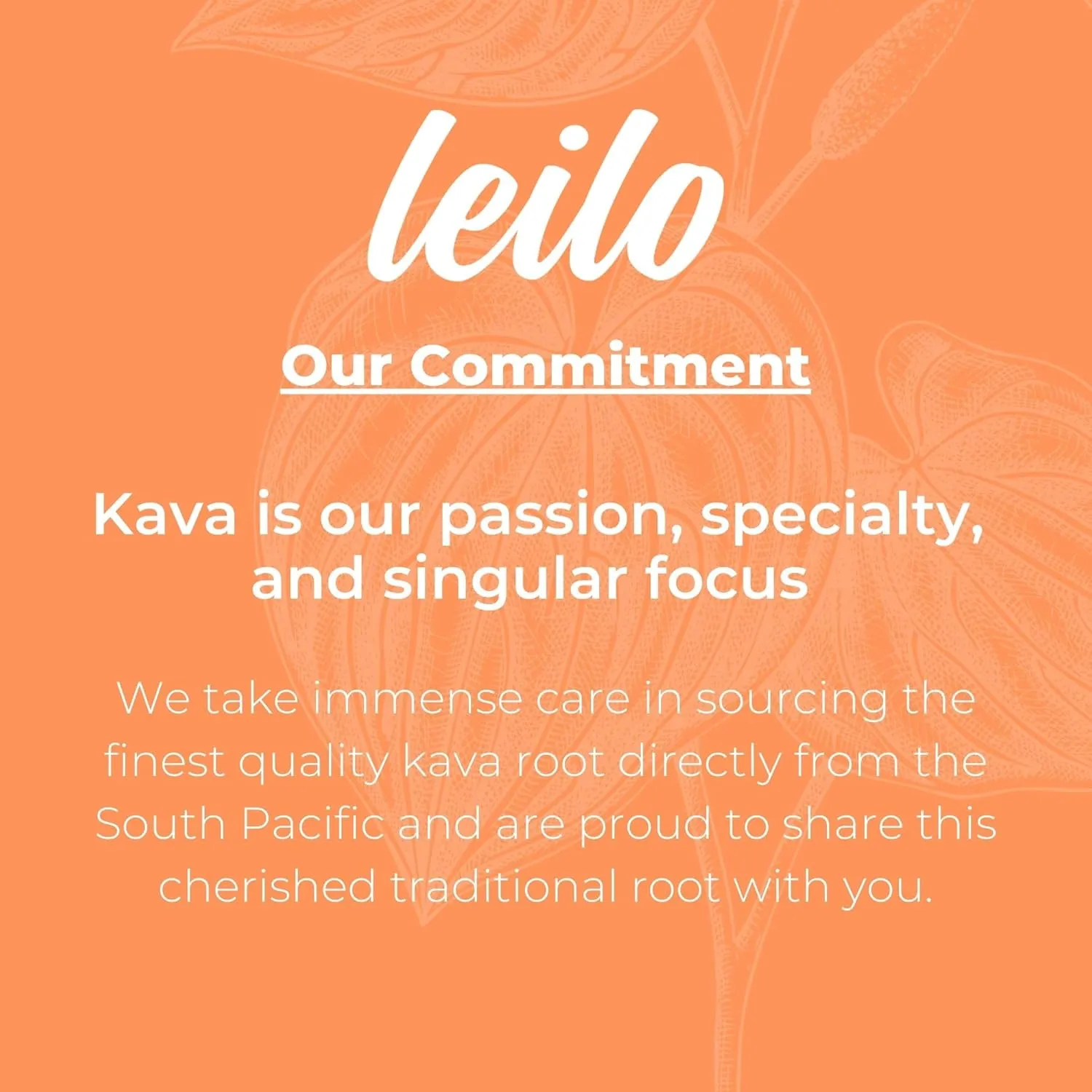 LEILO | Kava Powered Sparkling Relaxation Drink | Tangerine Mango 12-Pack – Non-ALC Calming Beverage | 12 fl oz Cans (Pack of 12) | Packaging May Vary